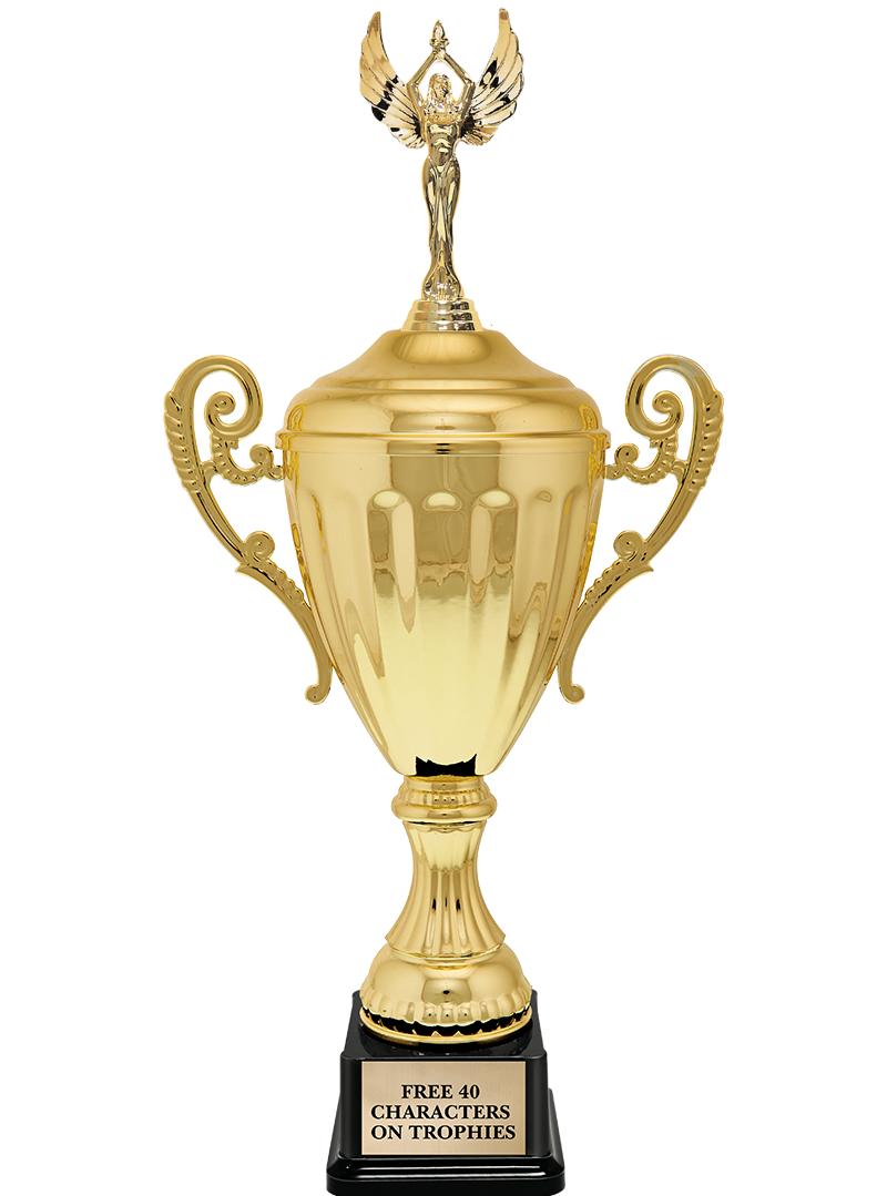 15.43" GD ACCLDE CUP TRP W FIG