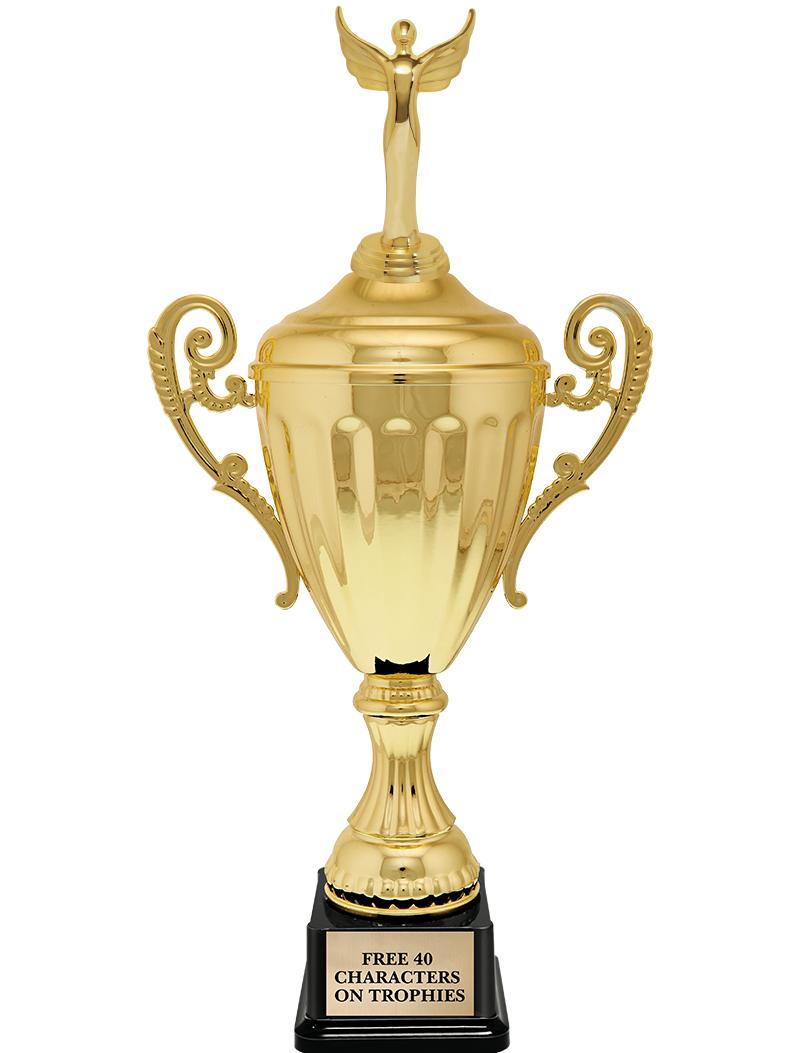 15.43" GD ACCLDE CUP TRP W FIG