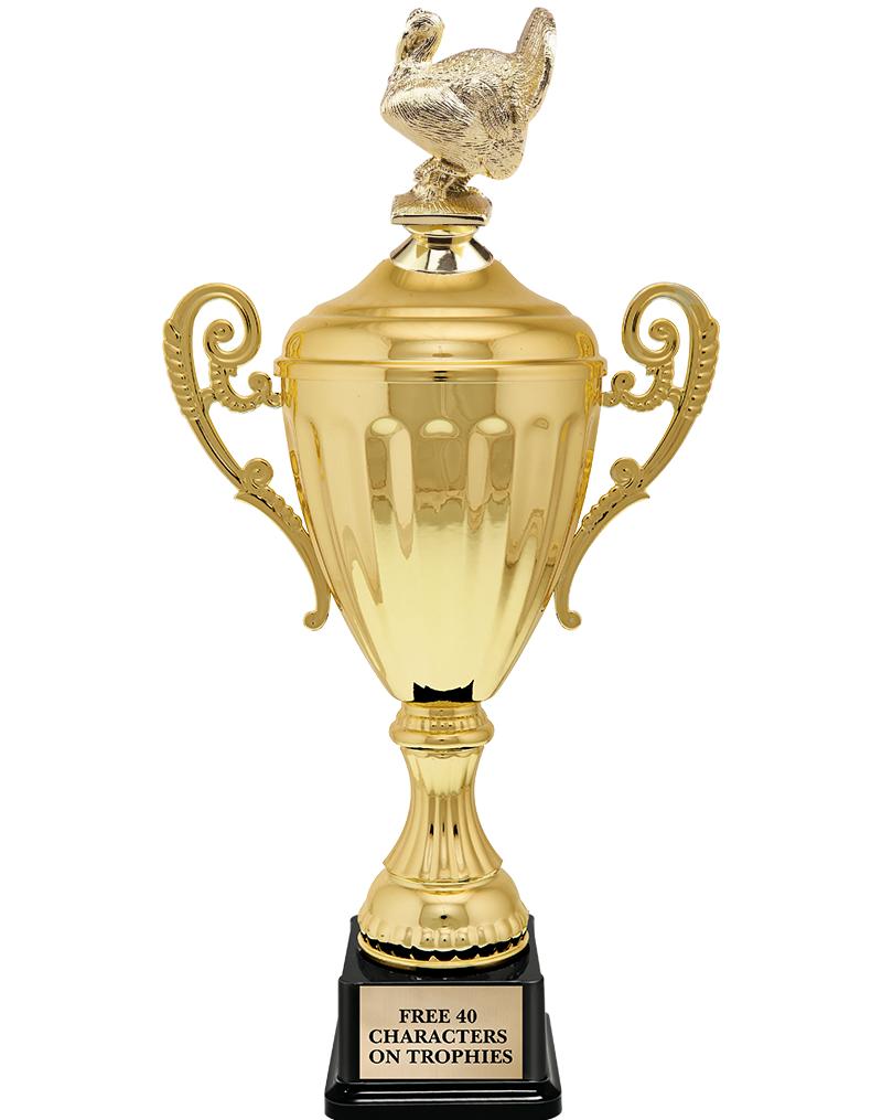 15.43" GD ACCLDE CUP TRP W FIG