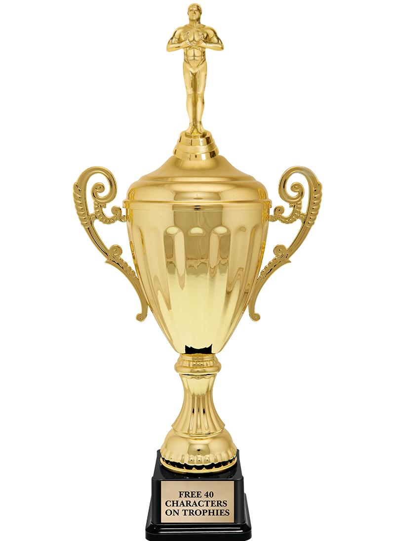 15.43" GD ACCLDE CUP TRP W FIG