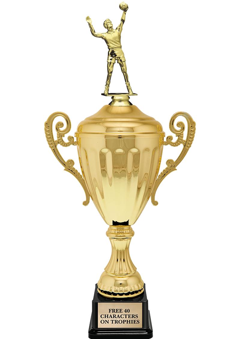 15.43" GD ACCLDE CUP TRP W FIG