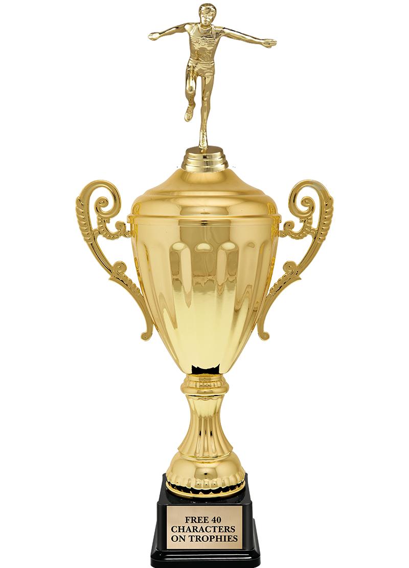 15.43" GD ACCLDE CUP TRP W FIG