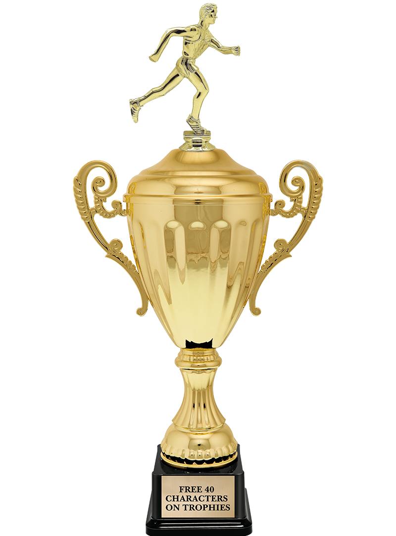 15.43" GD ACCLDE CUP TRP W FIG