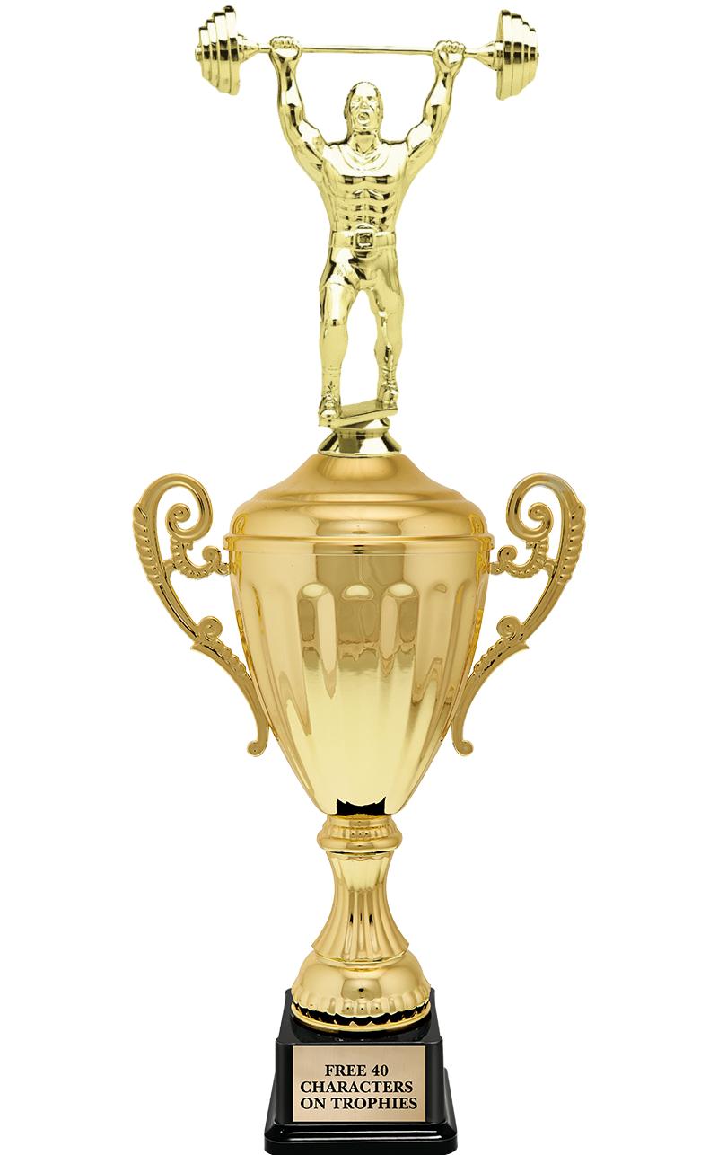 15.43" GD ACCLDE CUP TRP W FIG