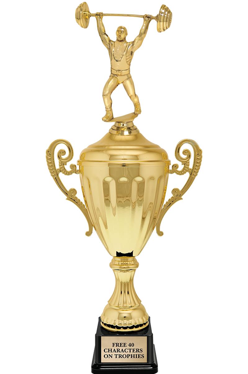 15.43" GD ACCLDE CUP TRP W FIG