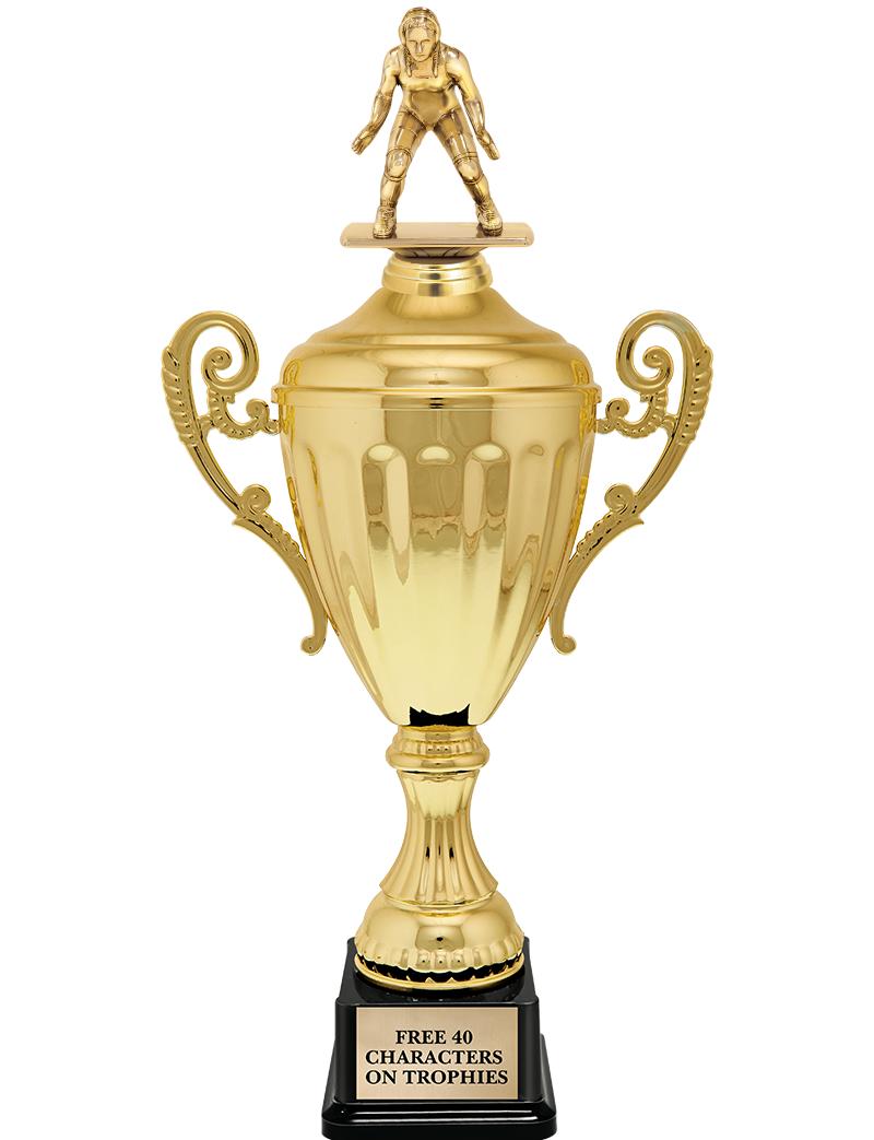 15.43" GD ACCLDE CUP TRP W FIG