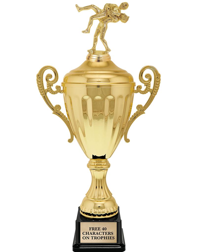 15.43" GD ACCLDE CUP TRP W FIG