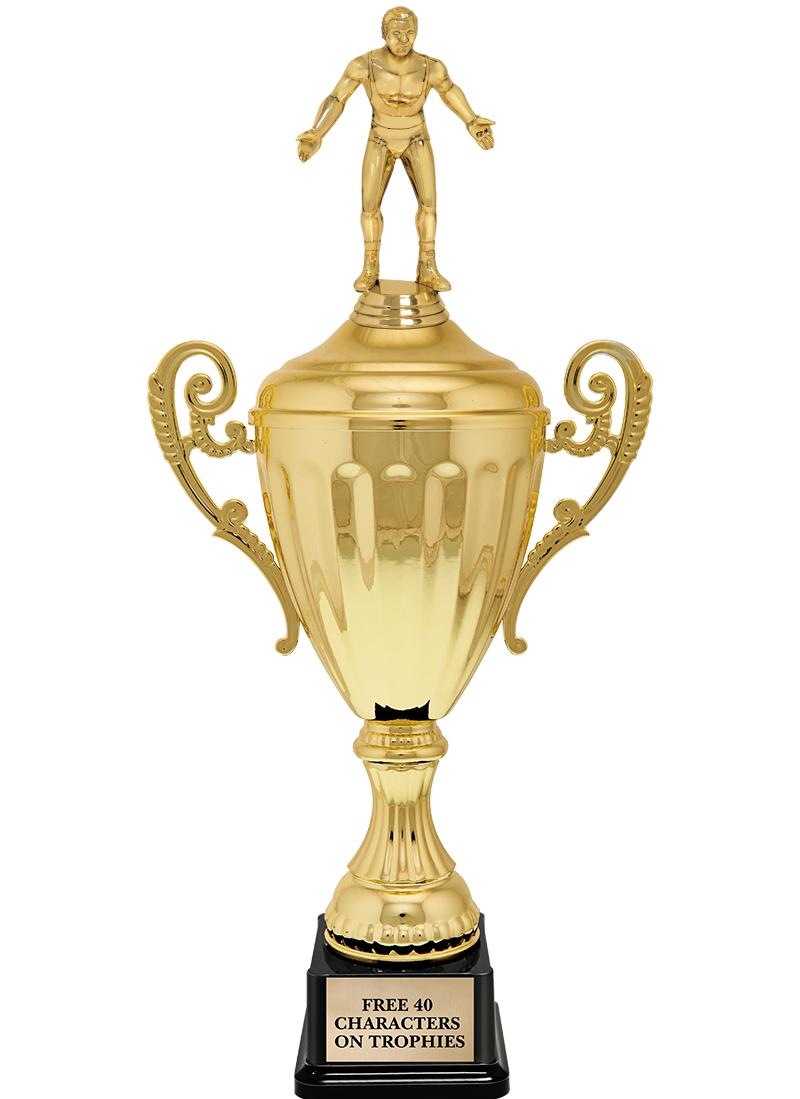 15.43" GD ACCLDE CUP TRP W FIG