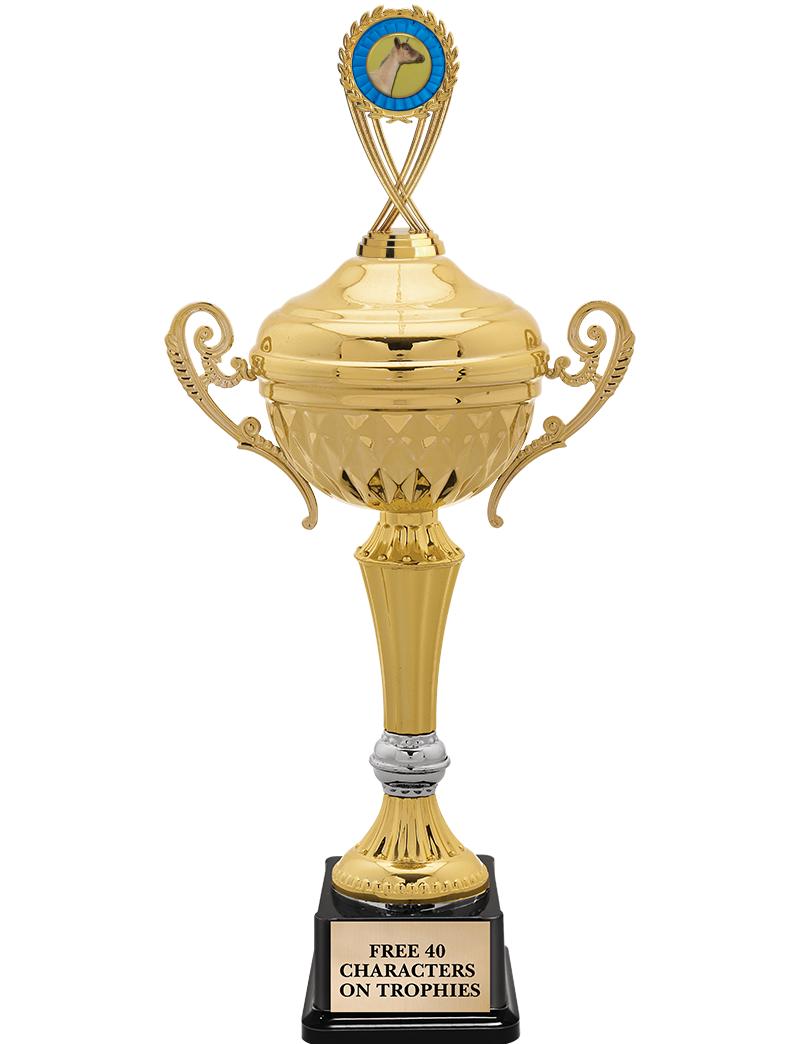 15" MTL MANIFEST CUP W/FIG