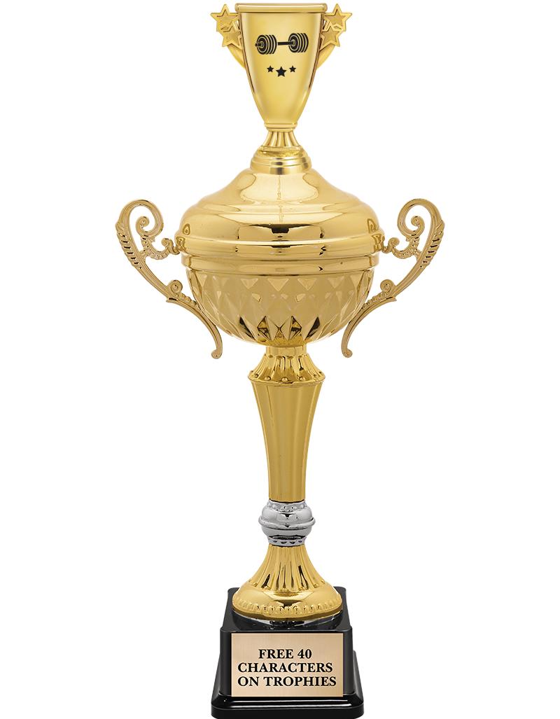 15" MTL MANIFEST CUP W/FIG