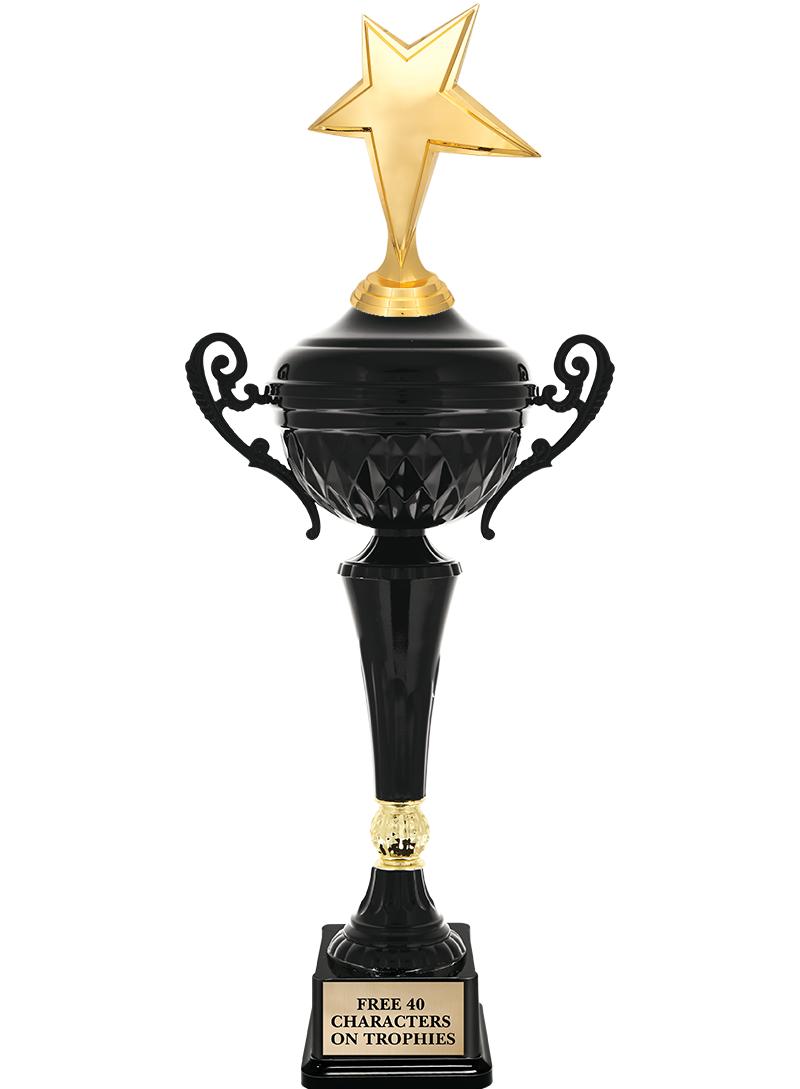 Cup Ping Pong Trophies  Perpetual Symphony Wine Cooler