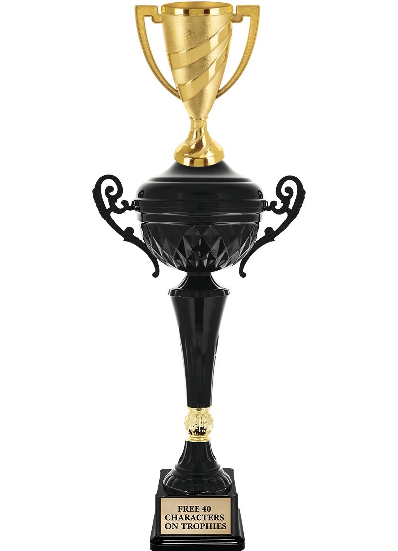 Crown Awards Turkey Bowl Trophy - 6 Gold Star Thanksgiving Football  Trophies Prime