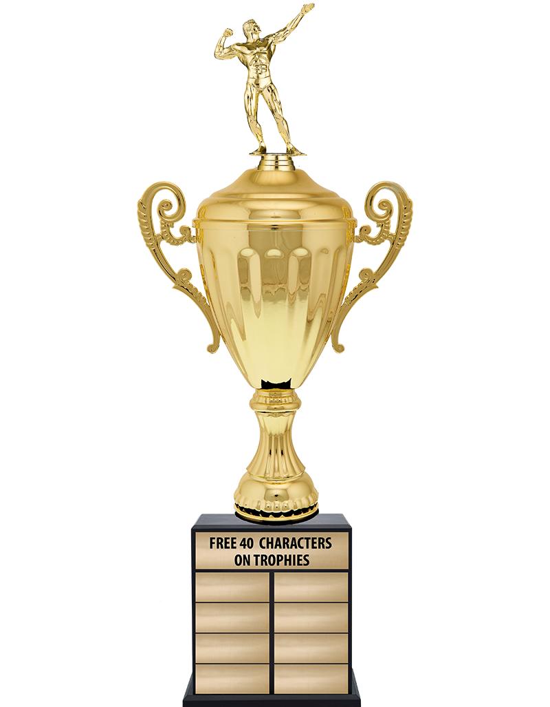 24 1/2" PPTL GD ACC W/FIG TRP