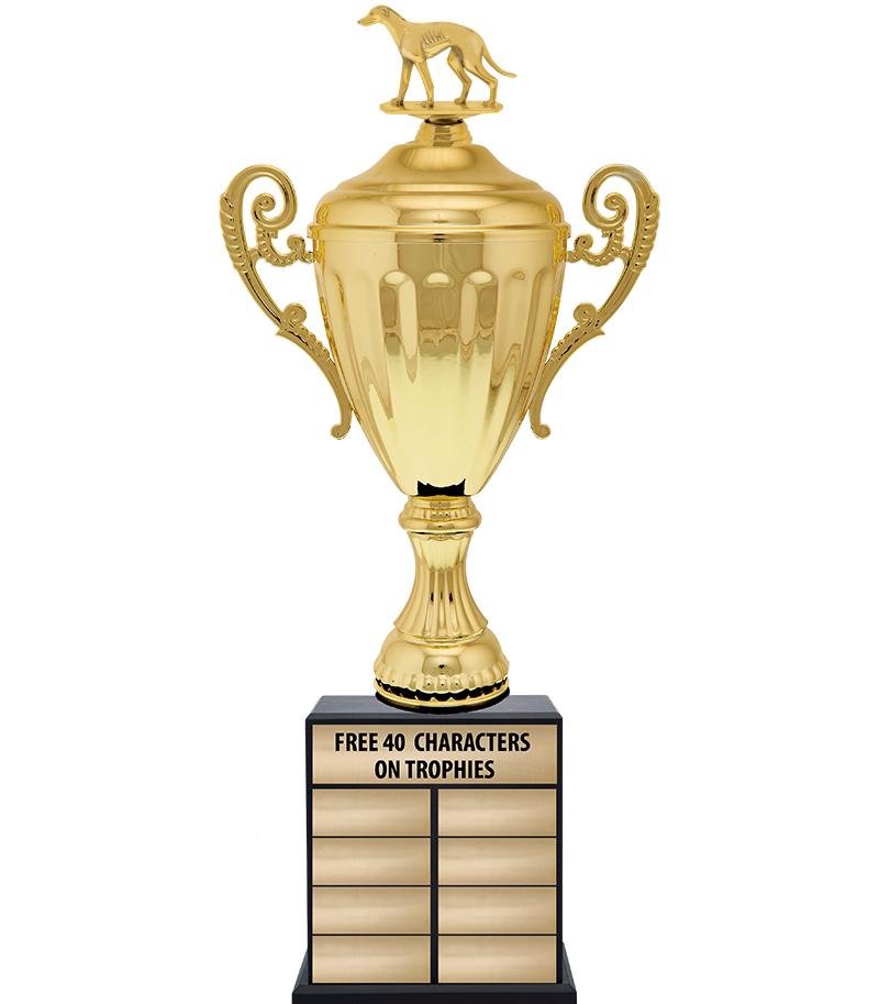 24 1/2" PPTL GD ACC W/FIG TRP