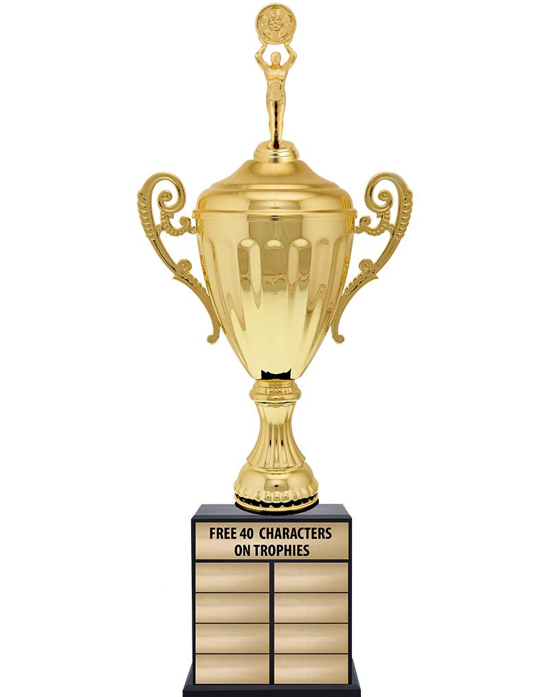 24 1/2" PPTL GD ACC W/FIG TRP