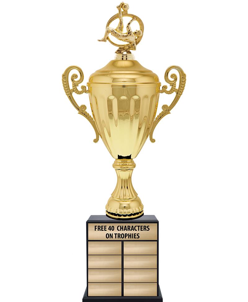 24 1/2" PPTL GD ACC W/FIG TRP