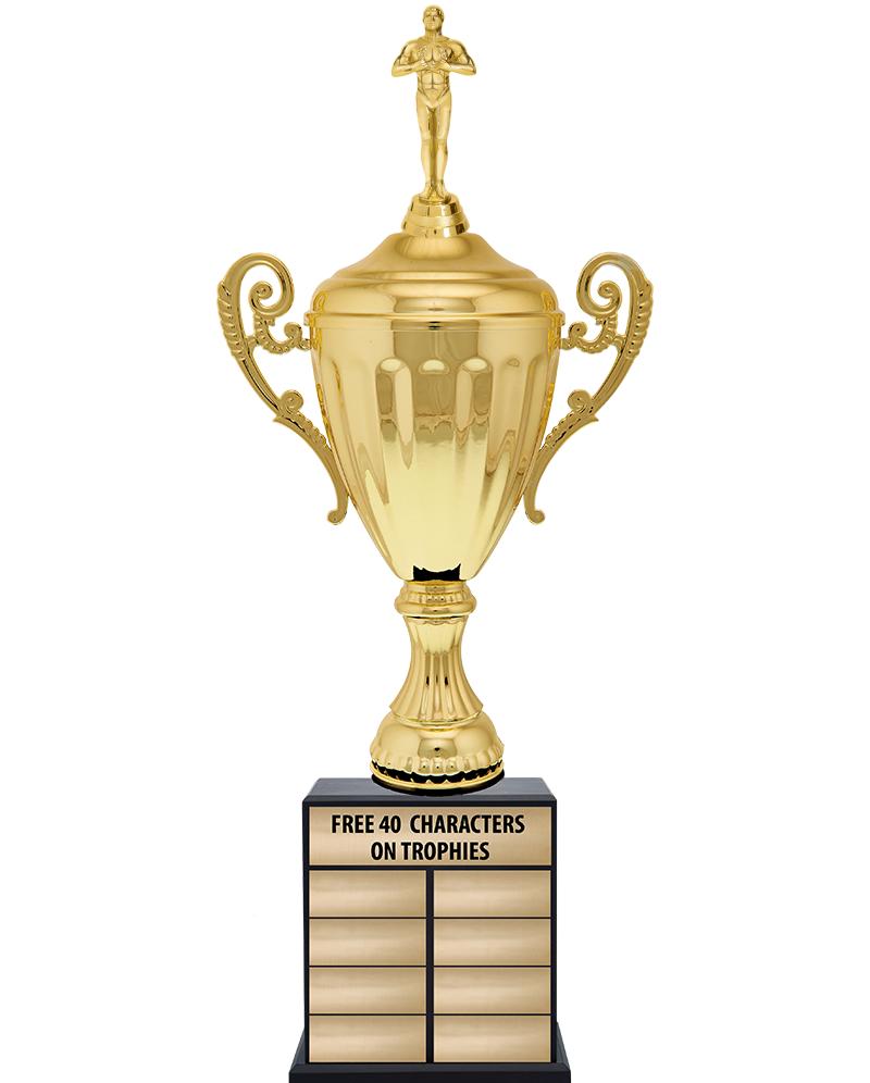 24 1/2" PPTL GD ACC W/FIG TRP