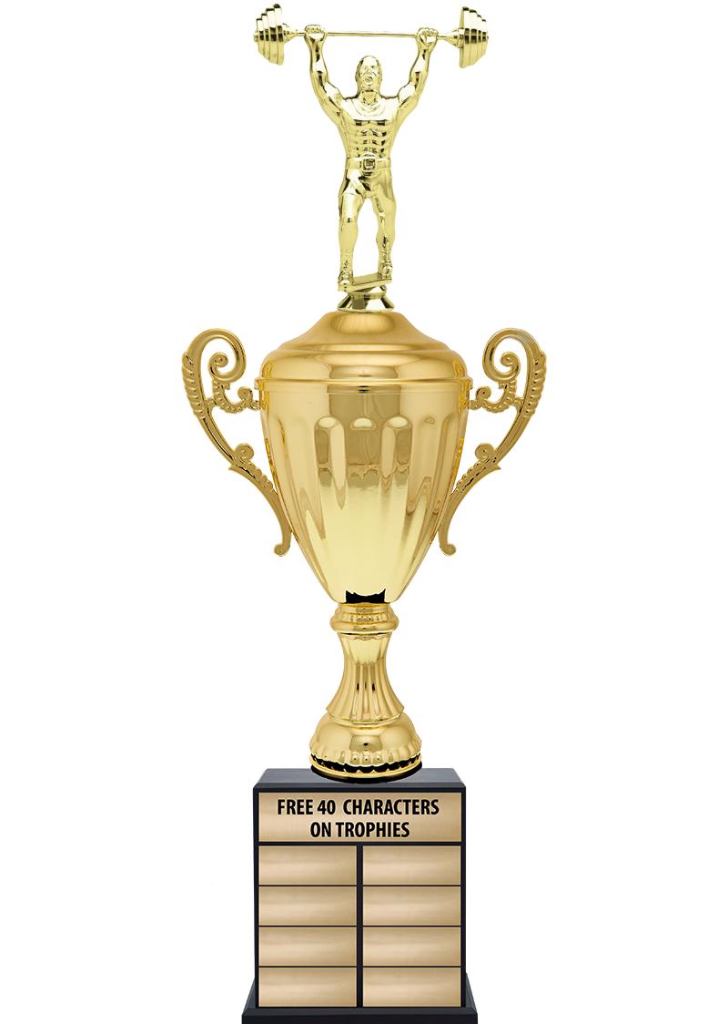 24 1/2" PPTL GD ACC W/FIG TRP