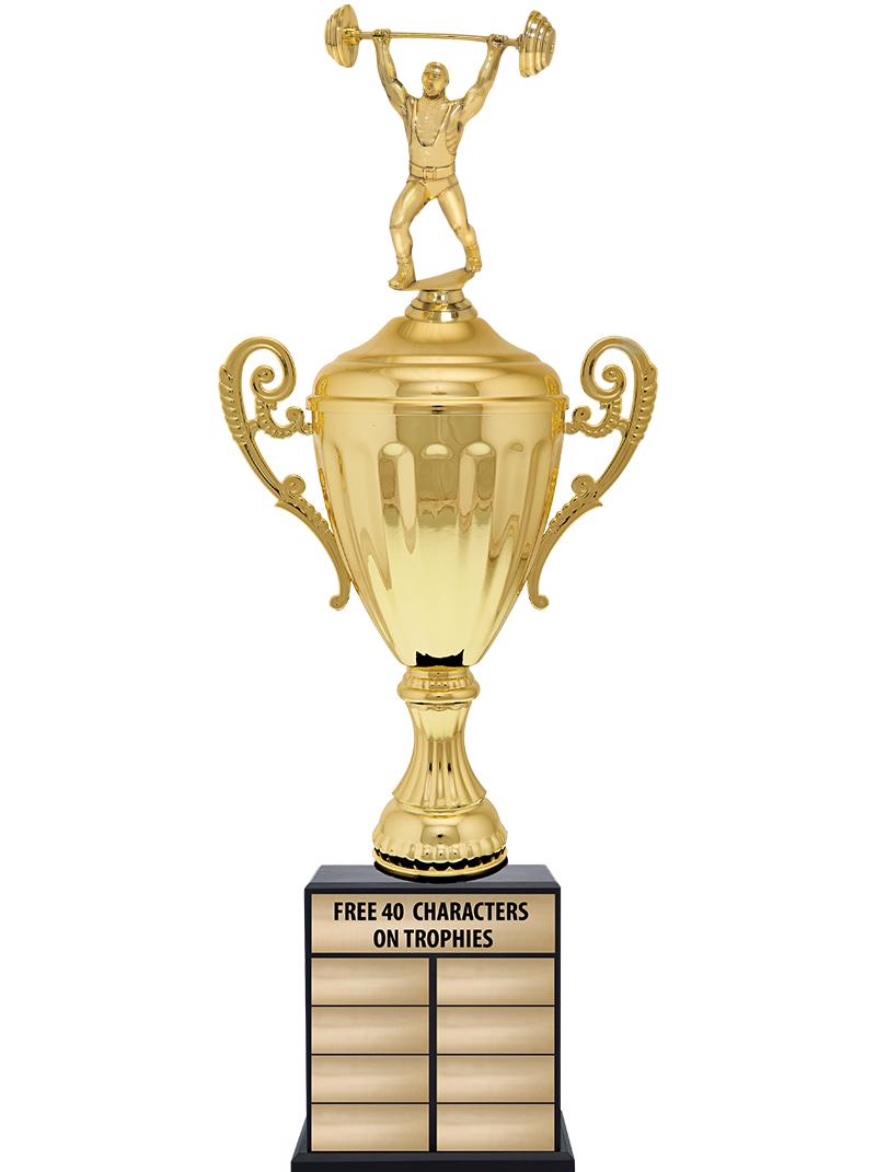 24 1/2" PPTL GD ACC W/FIG TRP