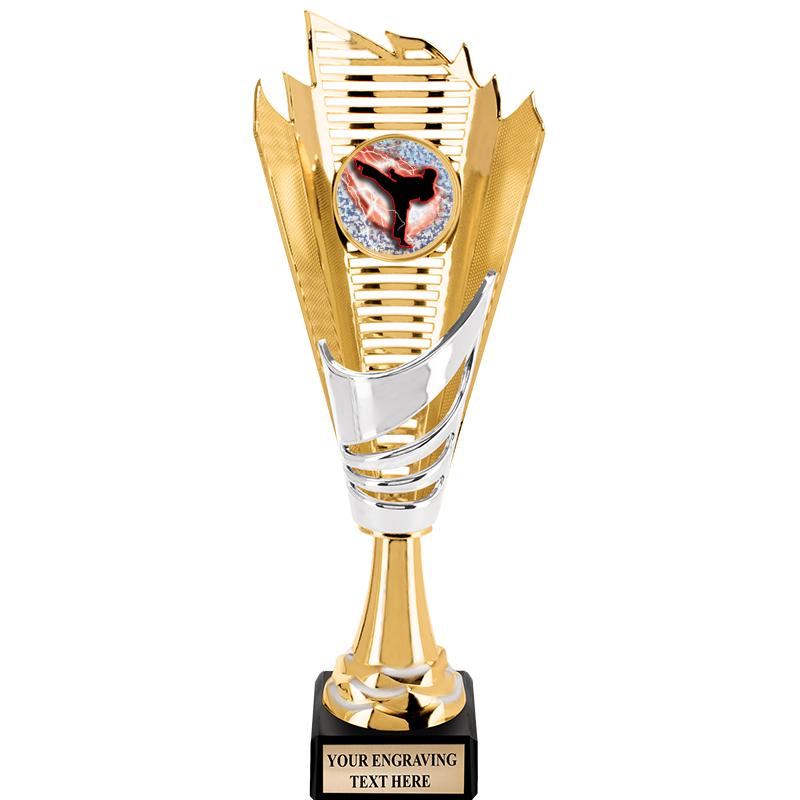 Martial Arts Cup Trophies Crown Awards