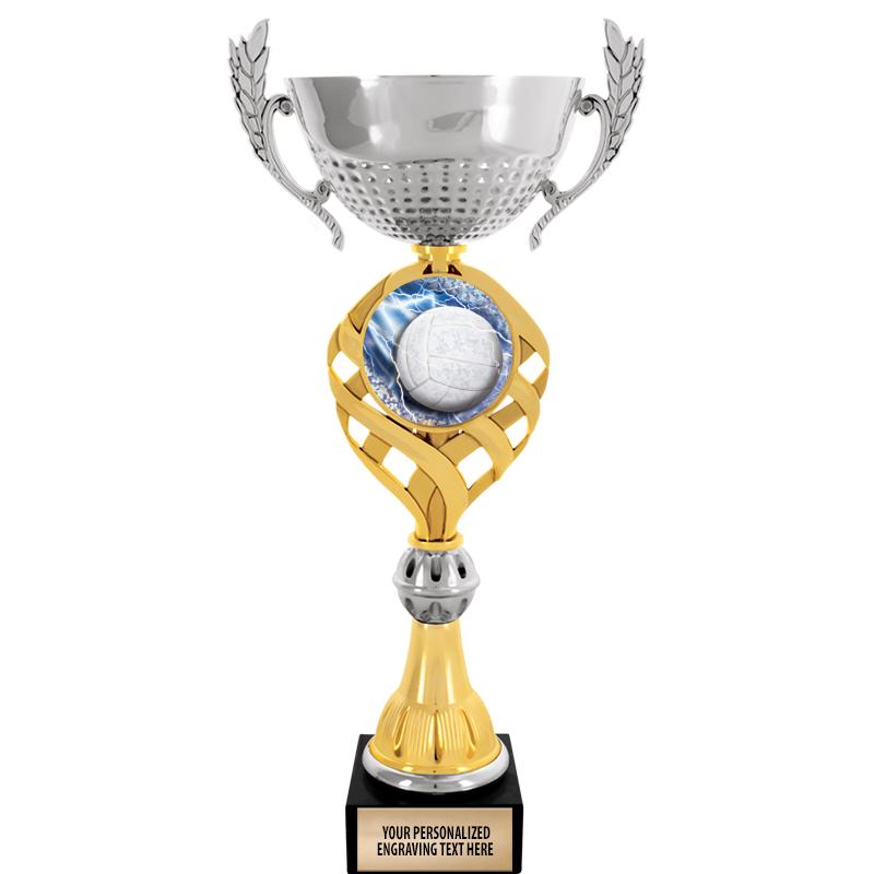 Crown Awards Volleyball Trophy, 14