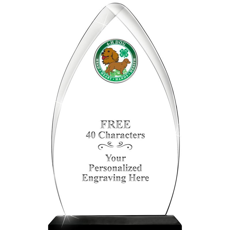 11.25"ARROWHEAD ACRYLIC W/INS