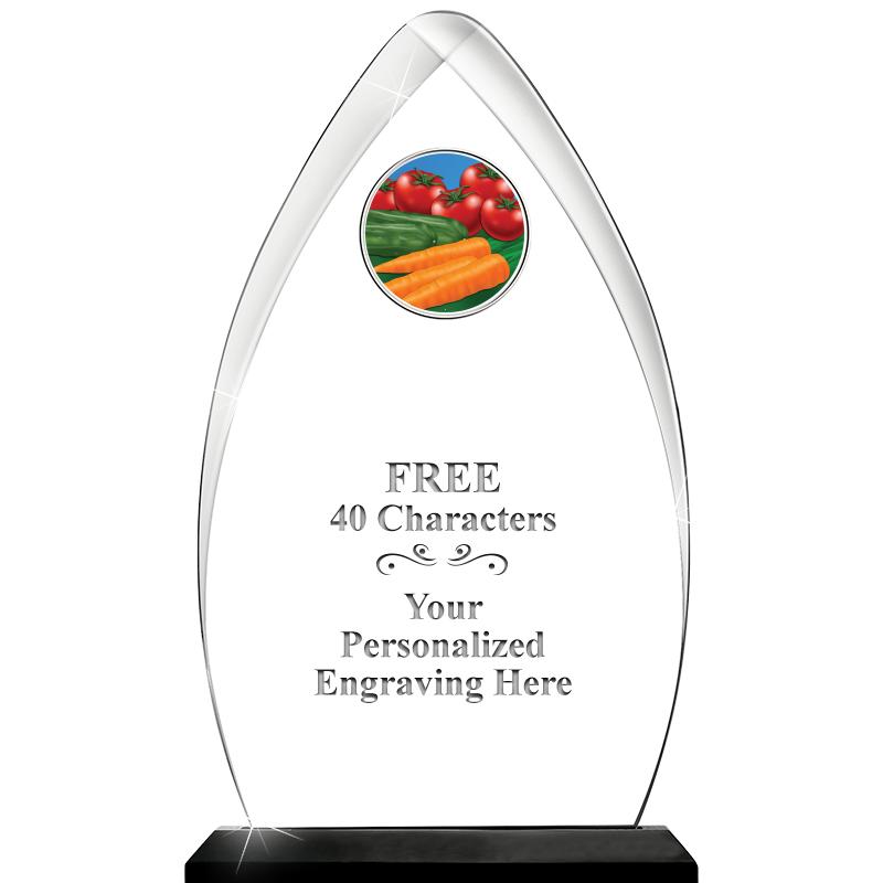 11.25"ARROWHEAD ACRYLIC W/INS