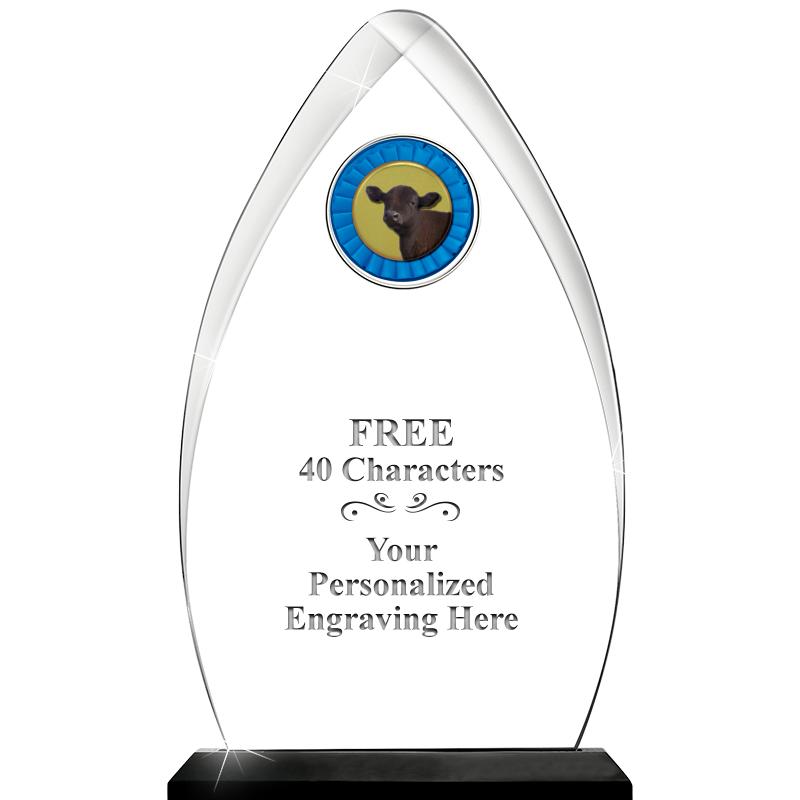 11.25"ARROWHEAD ACRYLIC W/INS