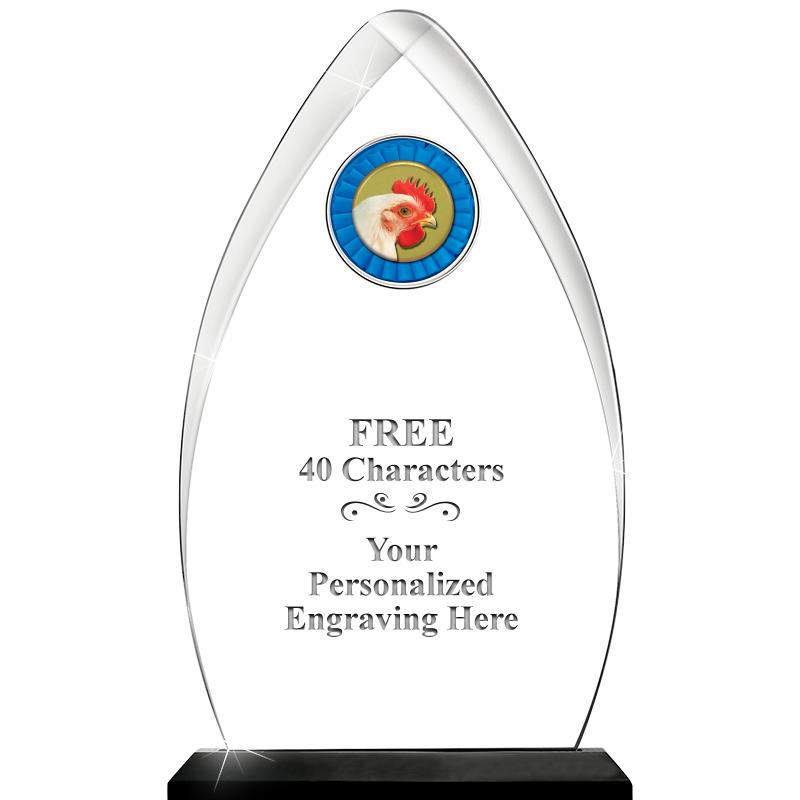 11.25"ARROWHEAD ACRYLIC W/INS