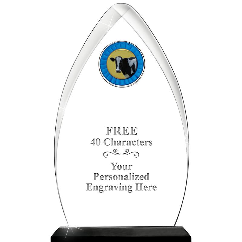 11.25"ARROWHEAD ACRYLIC W/INS