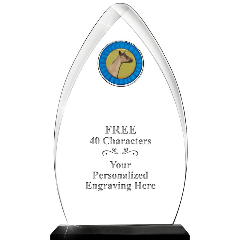 11.25"ARROWHEAD ACRYLIC W/INS