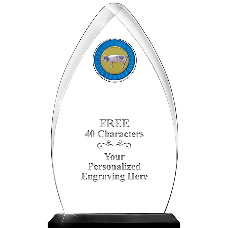 11.25"ARROWHEAD ACRYLIC W/INS