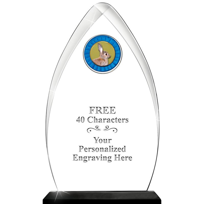 11.25"ARROWHEAD ACRYLIC W/INS