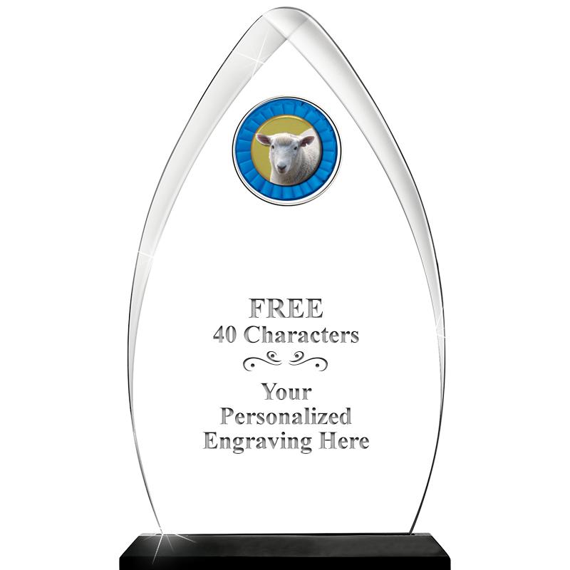 11.25"ARROWHEAD ACRYLIC W/INS