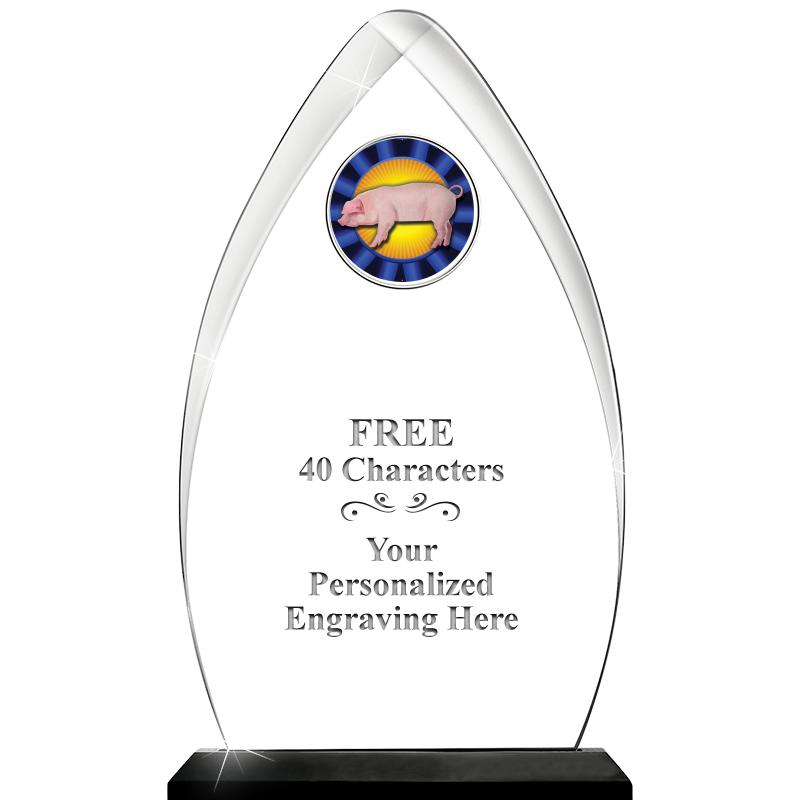 11.25"ARROWHEAD ACRYLIC W/INS