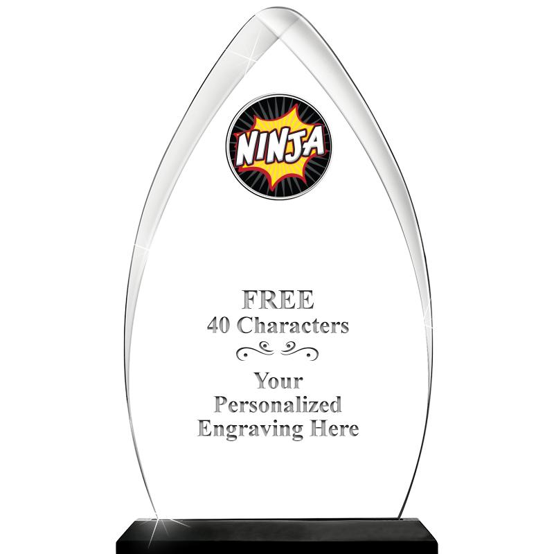 11.25"ARROWHEAD ACRYLIC W/INS