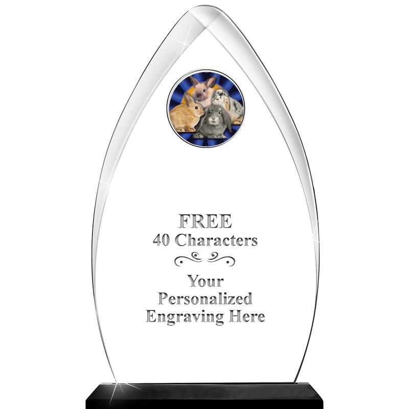 11.25"ARROWHEAD ACRYLIC W/INS