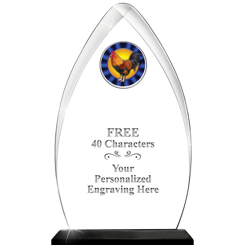 11.25"ARROWHEAD ACRYLIC W/INS