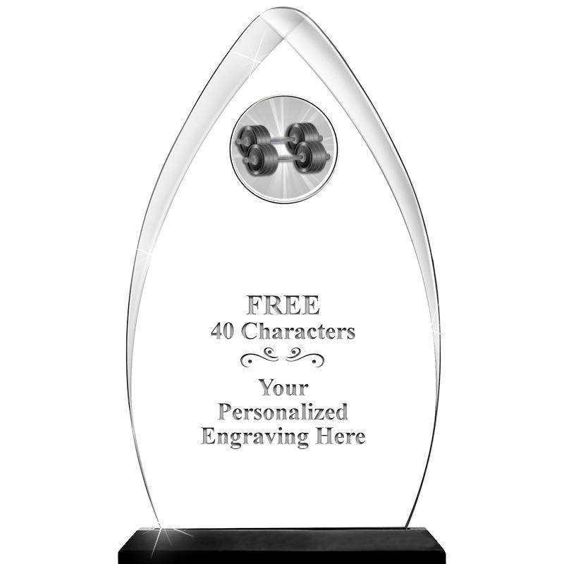 11.25"ARROWHEAD ACRYLIC W/INS