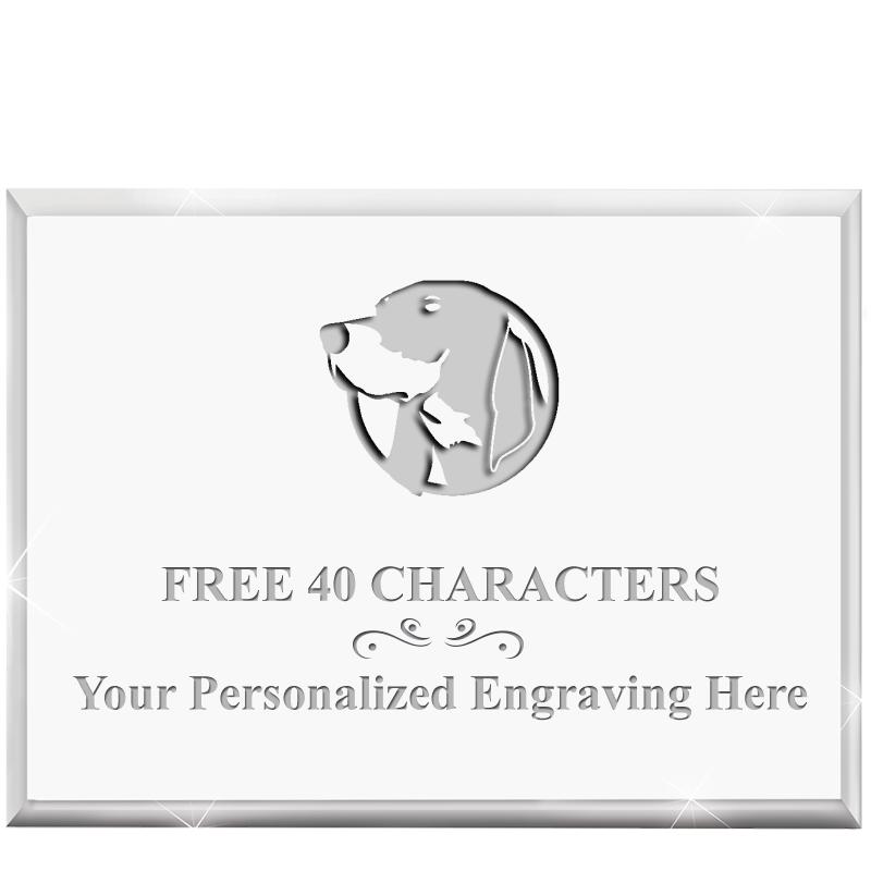 4"x3"HORIZONTAL DISPLAY ACRYL