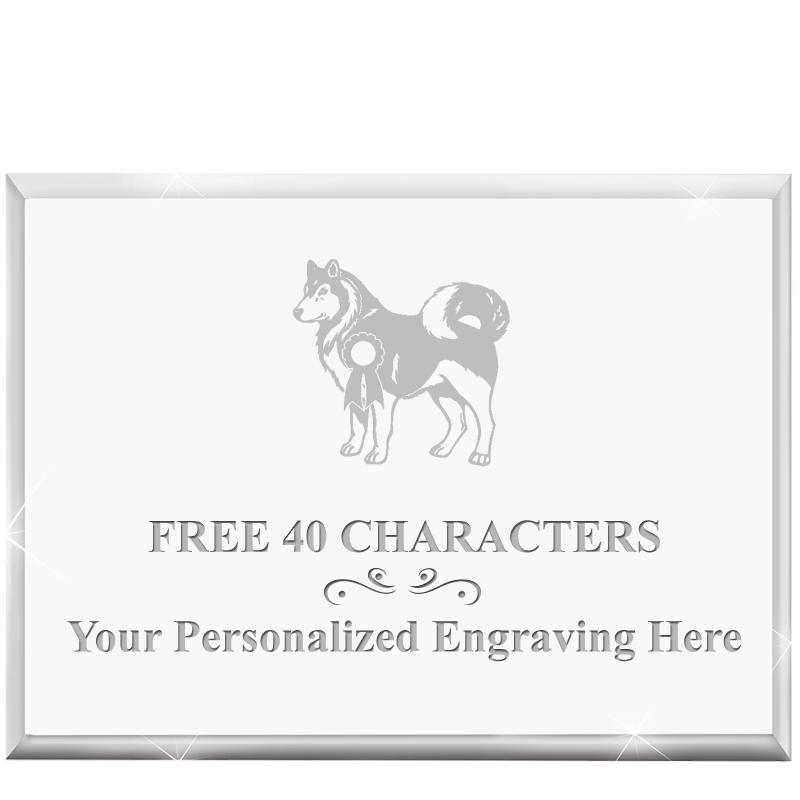 4"x3"HORIZONTAL DISPLAY ACRYL