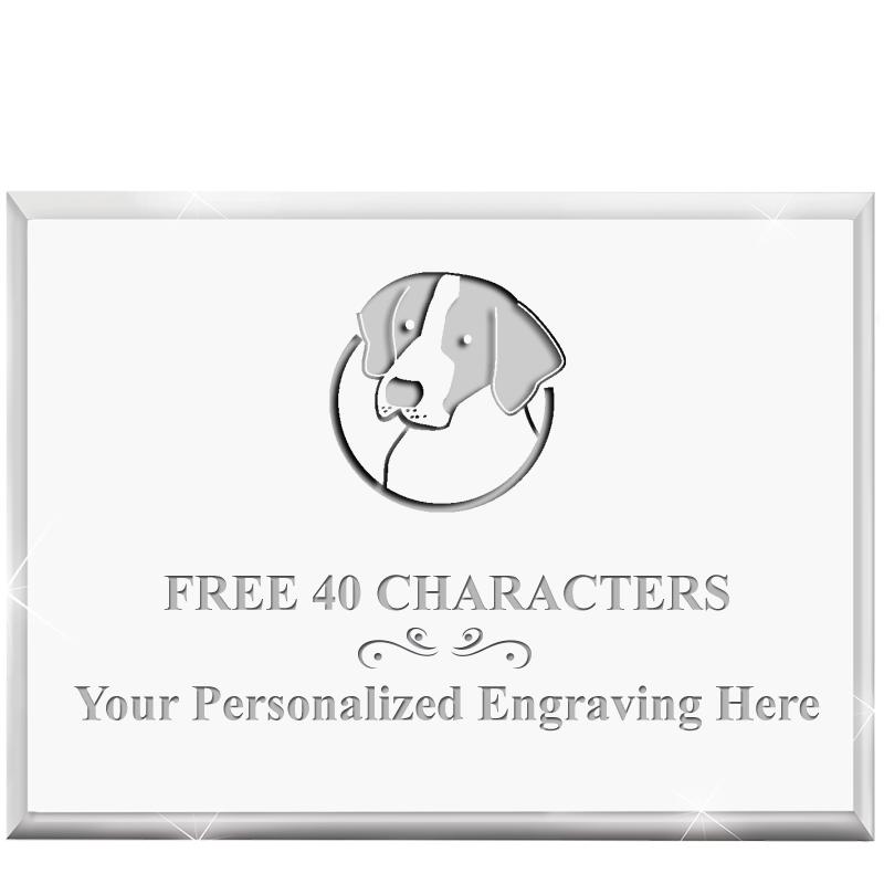 4"x3"HORIZONTAL DISPLAY ACRYL