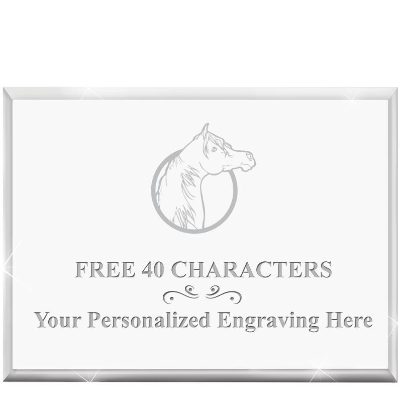 4"x3"HORIZONTAL DISPLAY ACRYL