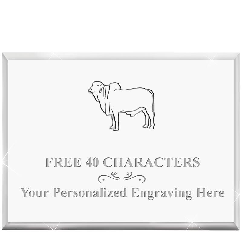 4"x3"HORIZONTAL DISPLAY ACRYL