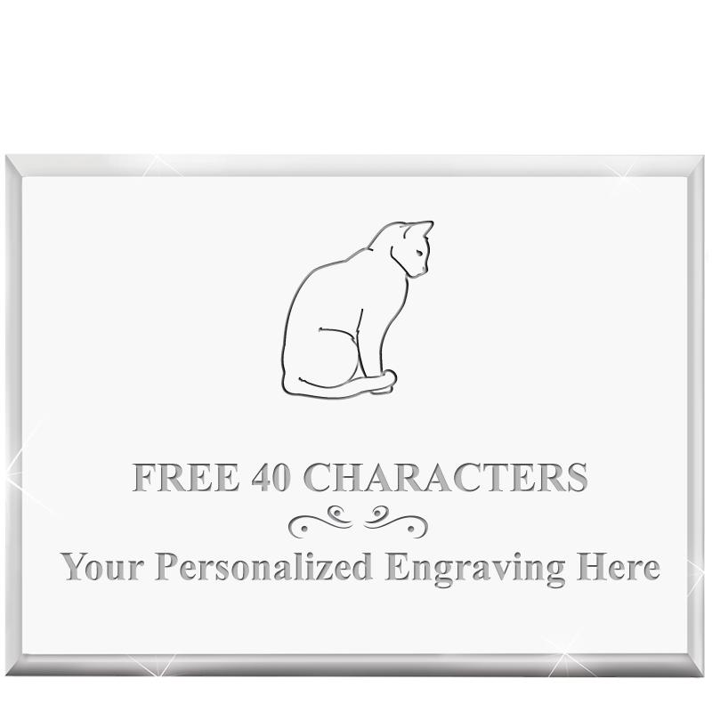 4"x3"HORIZONTAL DISPLAY ACRYL