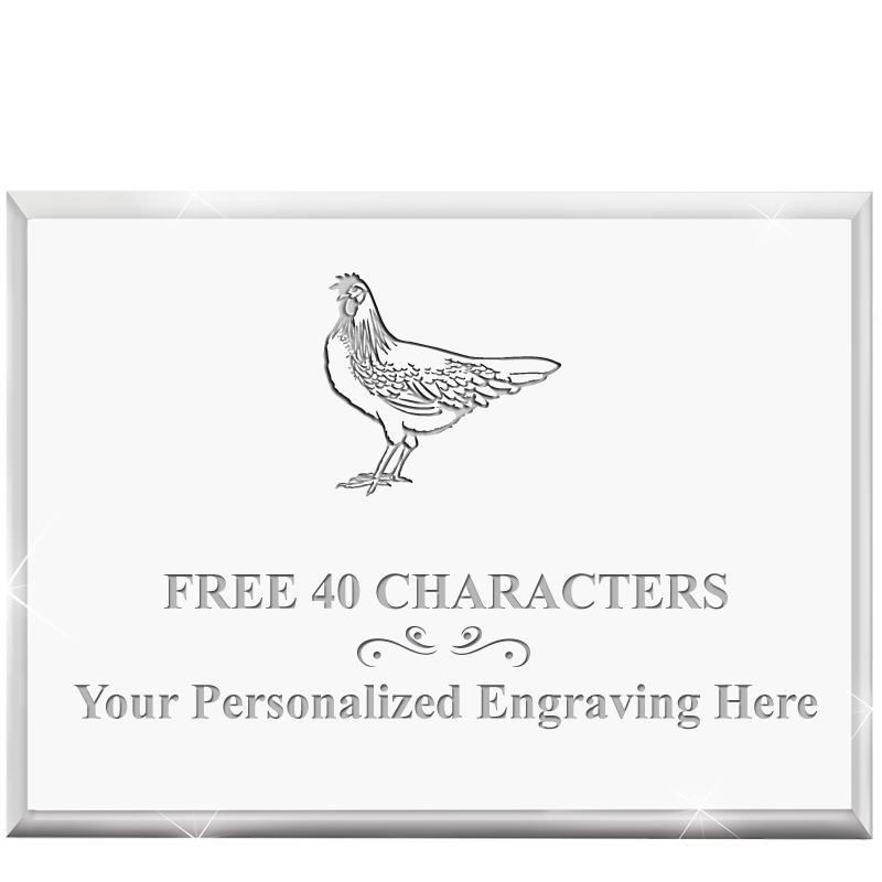 4"x3"HORIZONTAL DISPLAY ACRYL