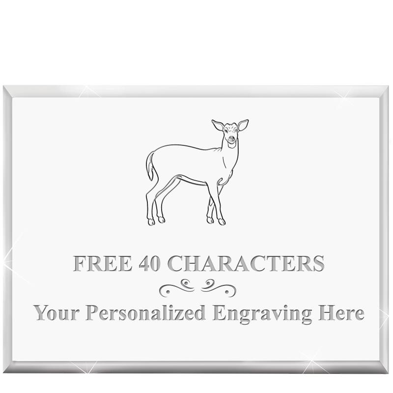 4"x3"HORIZONTAL DISPLAY ACRYL