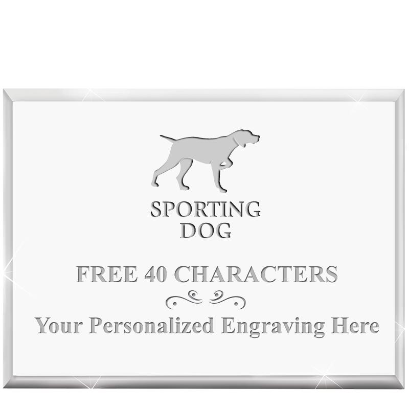 4"x3"HORIZONTAL DISPLAY ACRYL