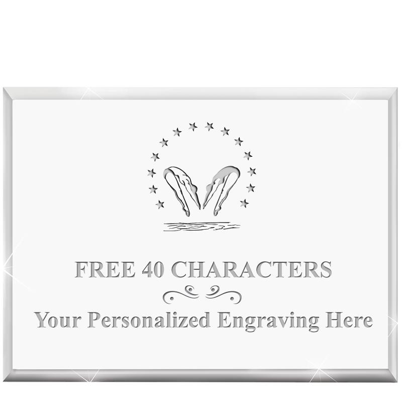 4"x3"HORIZONTAL DISPLAY ACRYL