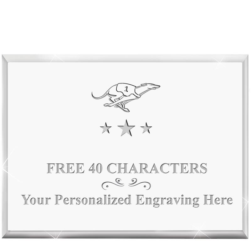 4"x3"HORIZONTAL DISPLAY ACRYL